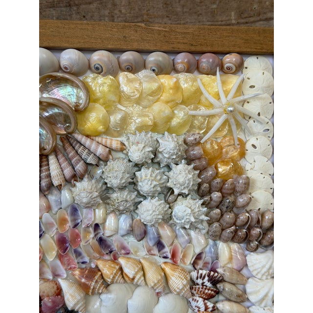 Coastal Custom Framed Coastal Seashell Wall Art For Sale - Image 3 of 10
