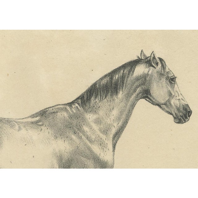 G. Ebner, Sultan Mahmoud, 1846, Lithograph For Sale - Image 4 of 9
