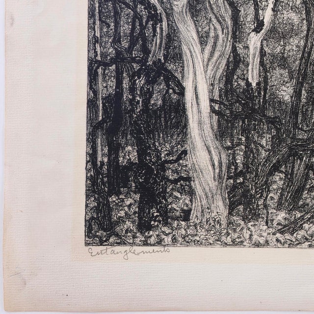 Turner Mid 20th Century Janet Turner Original Lithograph · Entanglement · Signed · Edition 2/25 For Sale - Image 4 of 5