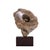 Gray Mario DeNoto Style Balancing Fossil Sculpture For Sale - Image 8 of 9