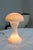 The umbrella and foot are illuminated. Rare Mushroom Lamps Model. Alabaster Mushroom table lamp. Probably Italy 1960s....