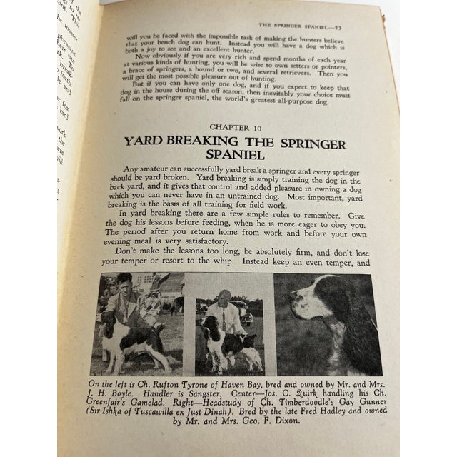 1951 the Springer Spaniel by Maxwell Riddle Book | Chairish
