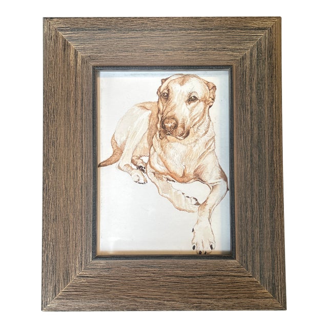 Contemporary Original Yellow Lab Dog Watercolor Painting For Sale