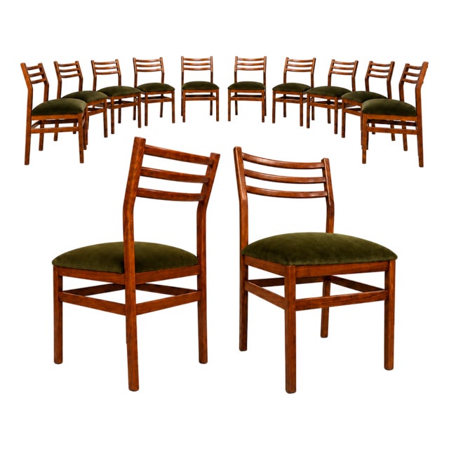 Brazilian Modern Set of Twelve Chairs in Caviuna wood & Olive Velvet, Arrendamento, 1960s, Lot 661-1181 For Sale