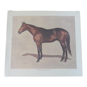 Darol Dickinson's Limited Edition Print Color of Horses / Mahogany Bay-Thoroughbred Signed Vtg