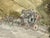 Folkestone & Canterbury Quicksilver Coach, Framed Watercolour. Terrific detail, very well painted, size 74.5 cms x 59 cms,...