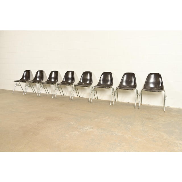 Herman Miller Charles & Ray Eames for Herman Miller DSS Seal Brown Stacking Shell Chairs | Set of Eight For Sale - Image 4 of 15