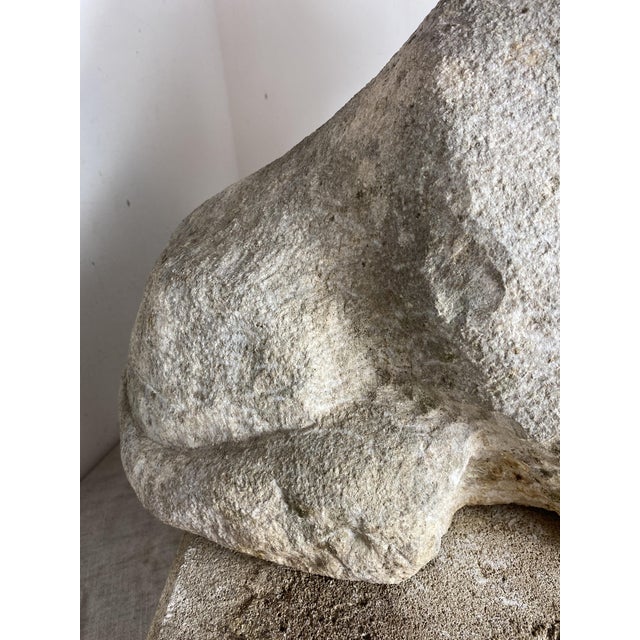 Antique Reclining Lion Sculpture on Base in Carved Stone, 1890s For Sale - Image 18 of 18