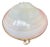 Vintage Pink and White Clam Shell Trinket Box For Sale