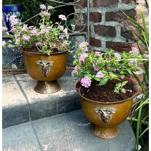 Early 20th Century Pair of Copper Jardinieres or Planters with Rams Head Handles The pair are beautifully patinated and...