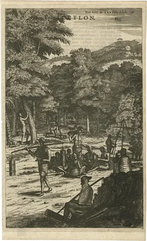 Farmers Harvesting Cinnamon on the Island Ceylon, 1672, Paper