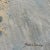 Impressionist Horseshoe Crab, Original Painting by Julia Lawing For Sale - Image 3 of 9