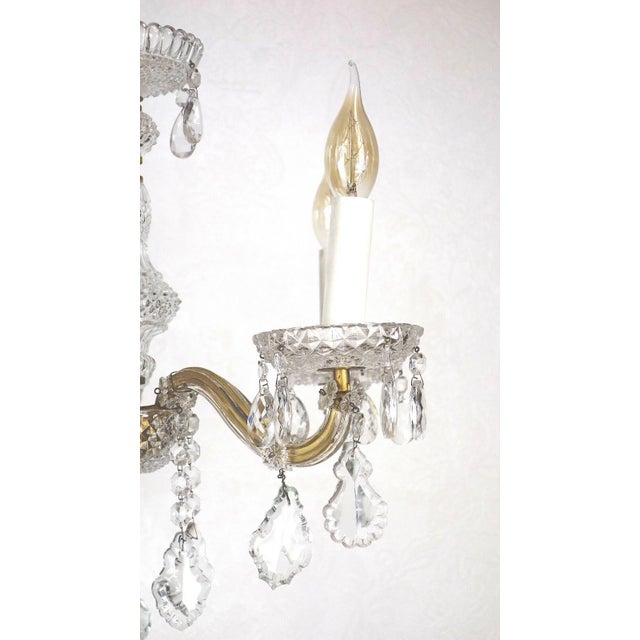 Antique Brass Lead Crystal Palme and Walter Chandelier from Palwa, 1950s For Sale - Image 4 of 10