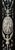 Neo-Renaissance Frame by Giovanni Battista Gatti, 1850s For Sale - Image 14 of 18