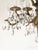 Baroque Antique 5 Arm 10 Light Mesmerizing Baroque Brass Cut Lead Crystal Chandelier For Sale - Image 3 of 12