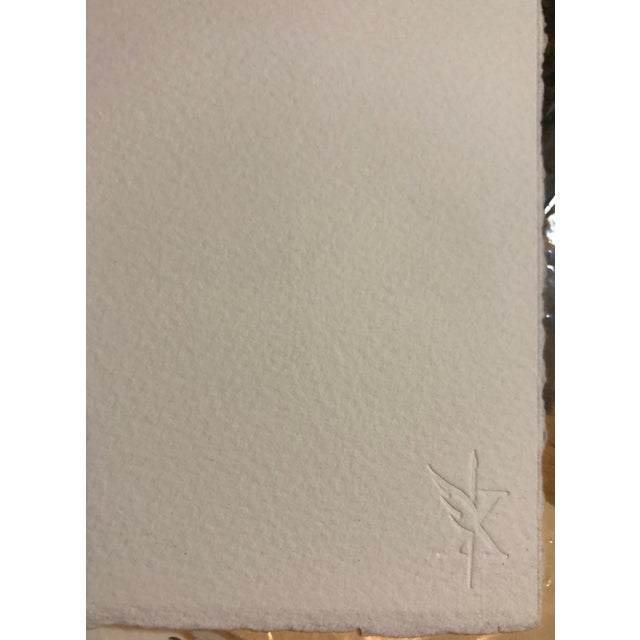 1990s Victor Raphael, Space Field, Digital Iris Print Muse X Large Photograph on Heavy Paper, 1996 For Sale - Image 5 of 5