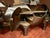 Large Copper Hippo Bar Sculpture in the style of Xavier Lalanne, 1980s For Sale - Image 4 of 17