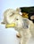 A wonderfully expressive Japanese ceramic elephant planter attributed to Tashiro Shoten, dating to approximately the...