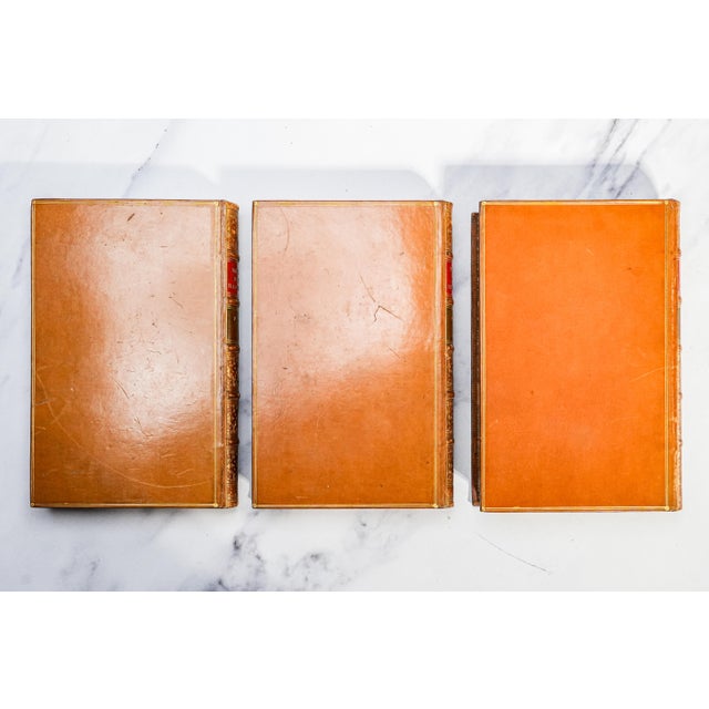 Stately 3 Volume the Rise of the Dutch Republic John Lothrop Motley Full Leather Antique Books Home Office Decor For Sale - Image 9 of 10