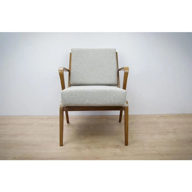 1950s Armchair by Selman Selmanagic for Veb Deutsche Werkstätten Hellerau, 1950s For Sale - Image 5 of 7