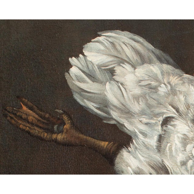 Brown Jean-Baptiste Oudry, White Duck, 1800s, Oil on Canvas, Framed For Sale - Image 8 of 13