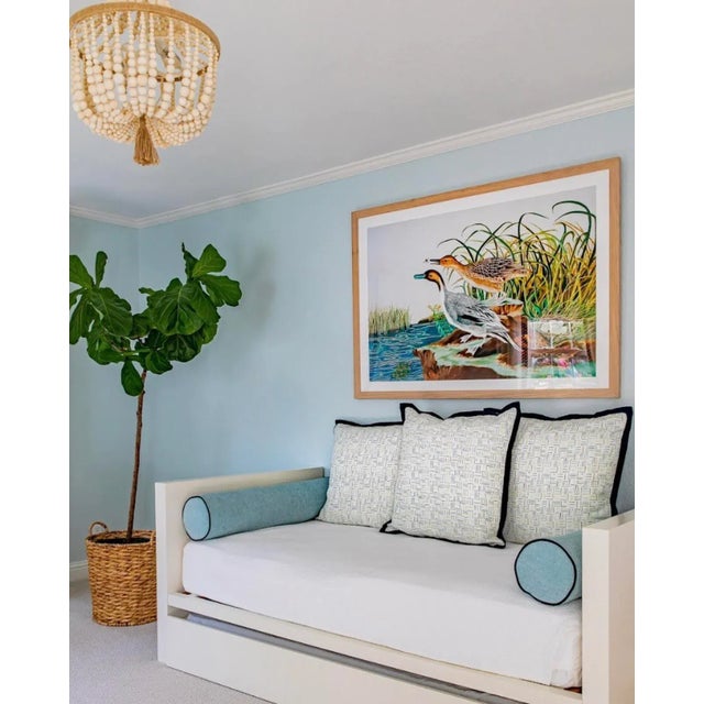 Pintail Duck by Natalie Erwin, Paper Print (48x36) Artist Bio: Natalie is a native of Fort Worth, Texas and she has been...