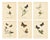William Home Lizars after Sir William Jardine, Small-Format Butterfly with Botanical Studies, 1835, Paper Engravings, Set of 6 For Sale