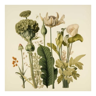 Vintage Botanical Garden Study No. 1 | Botanical Wall Art in Dark Green & Cream For Sale