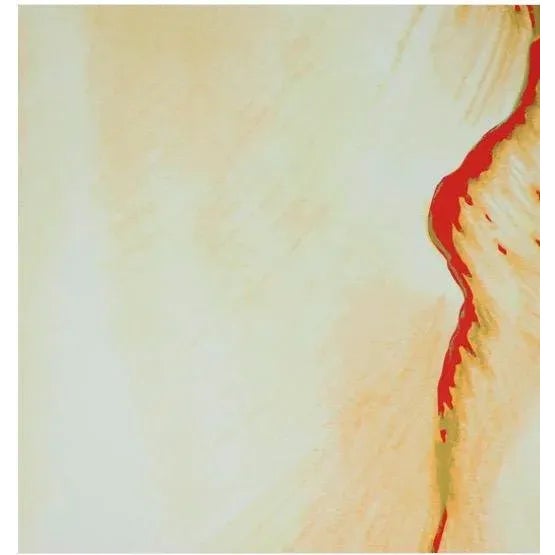 Lowell Nesbitt 1973 Realist Style Tulip Lithograph Signed by Lowell Blair Nesbitt For Sale - Image 4 of 7