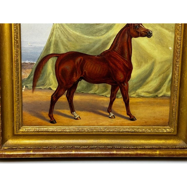 Chestnut English Victorian Sporting Oil Painting of an Arabian Horse in the Bombay Stables, India, c.1900 For Sale - Image 8 of 18