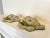 Eggshell Antique Rococo Revival Plaster Cherub Relief, a Pair For Sale - Image 8 of 12