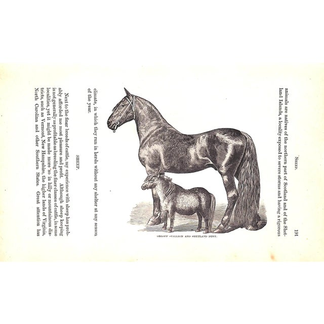 White "How the Farm Pays the Experiences of Forty Years of Successful Farming and Gardening" 1884 Crozier, William and Henderson, Peter For Sale - Image 8 of 12