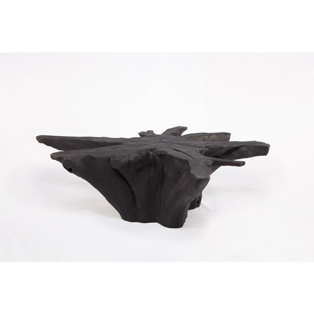 Black Burnt Organic Teak Root Coffee Table 81 For Sale - Image 4 of 6