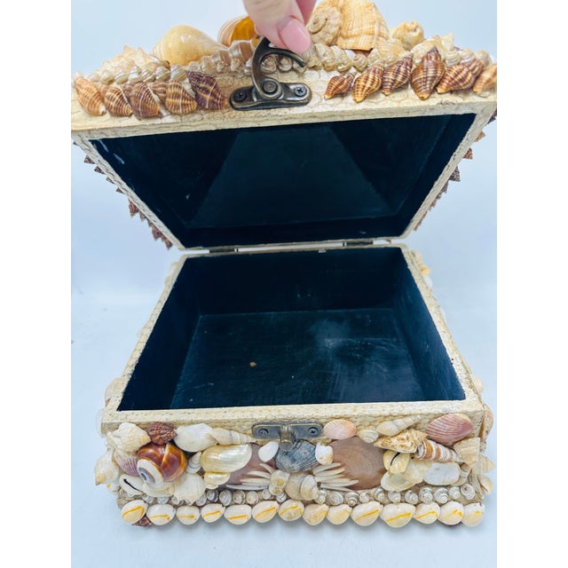 Shell Large Vintage Shell Box For Sale - Image 7 of 8
