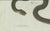Bertuch, Three European Snakes, 1802, Engraving For Sale - Image 9 of 11