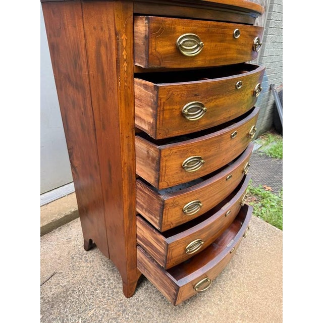 Early 20th Century Regency Style Tall Boy Bow Front Chest of Drawers For Sale - Image 13 of 14