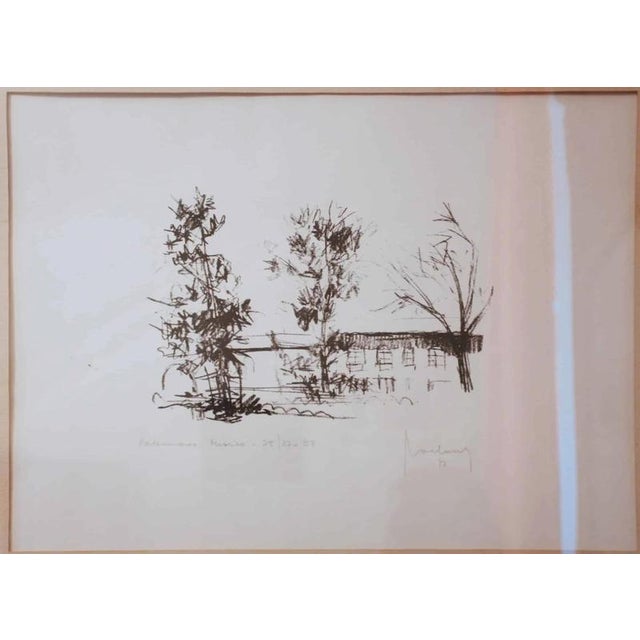 Charcoal drawing on cardboard. Signed. Numbered. Under glass and mounted. Wooden frame. Signature illegible. Dimensions:...