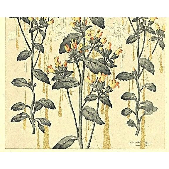 Beaux-Arts C1900 French Art Nouveau Botanical Lithograph For Sale - Image 3 of 4