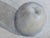 Contemporary "Apple With Its Shadow" Contemporary Expressionist Still Life Drawing by Martha Holden For Sale - Image 3 of 5