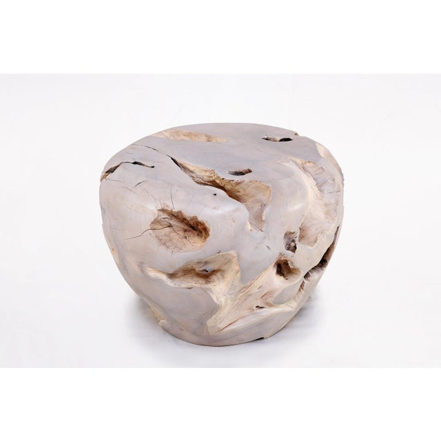 Contemporary Bleached White Teak Root Accent or Side Table or Stool 26 For Sale - Image 3 of 4