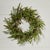 Kenneth Ludwig Chicago Pine and Pinecone Wreath 24"D For Sale - Image 4 of 4