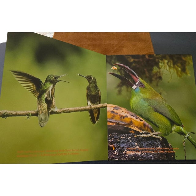 Whispers in the Wind a Tweet From the Wild For Sale - Image 17 of 17