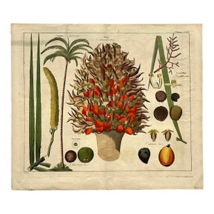 Vintage Boho Botanical Engraving