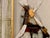 2010s Andrea Stella "Tales of Millers" Gold Leaf Oil Mixed Media Painting, Figurative, Italian Contemporary Art, 2010 For Sale - Image 5 of 11