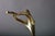 Abstract Brass Musician Sculpture on Travertine Base, 1980s For Sale - Image 10 of 11