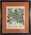 Vintage Framed Basilius Besler Botanical Lithograph Prints Hortus Eystettensis Pair For Sale - Image 10 of 18
