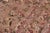 Shabby Chic Pak-Persian Taupe/Green Wool Rug - 9'2'' X 12'1'' For Sale In New York - Image 6 of 9