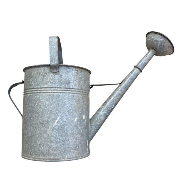 Early 20th Century Collection of Five Belgian Zinc Watering Cans on Custom Wall Mounts For Sale - Image 5 of 14