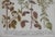 French Country Antique Weinmann Framed Botanical Engraving – Basil (Ocimum) From Phytanthoza Iconographia Wall Decor For Sale - Image 3 of 4