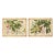 Pair of Framed Tropical Botanicals in Bamboo Set #2 For Sale